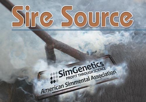 Sire Source - A tool to introduce your sire to the industry